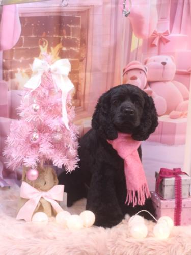 20241219天ちゃん